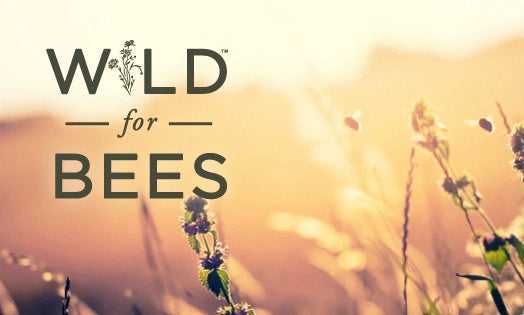 Wild for the Bees written across a sunny field of flowers.
