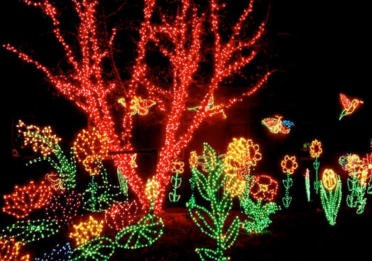 Christmas Lights depicting a flower garden in a yard at night
