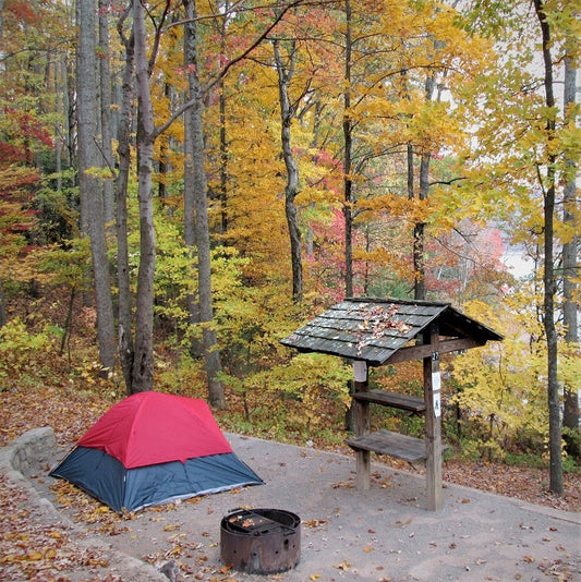 A tent pitched in a dedicated National Park campsite