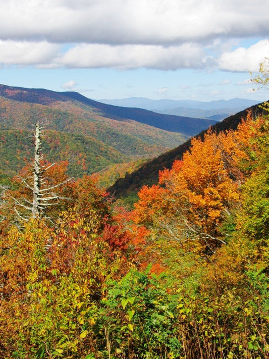 North Carolina Mountain View