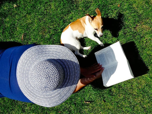 Woman lying on the grass reading with a small dog lyingr beside her.
