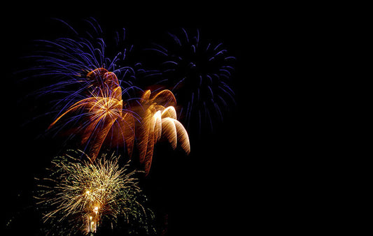 Fireworks in a night sky