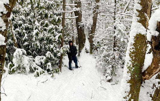 Hiking in the snow along the Mountains to Sea Trail