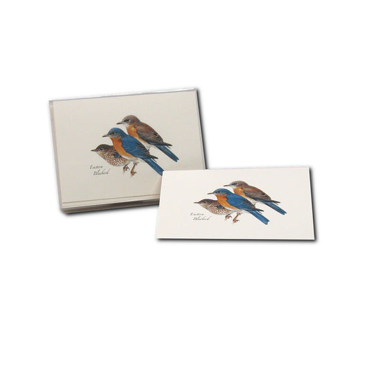 Earth Sky + Water Eastern Bluebird Notecards