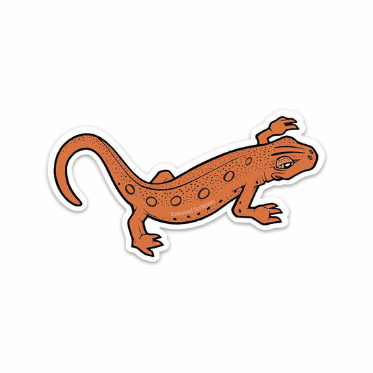 Eastern Newt Sticker