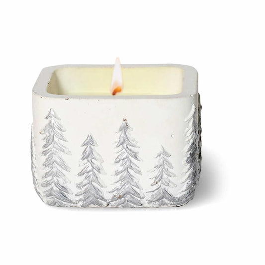 Fresh Cut Christmas Tree Candle - Large Square Pot