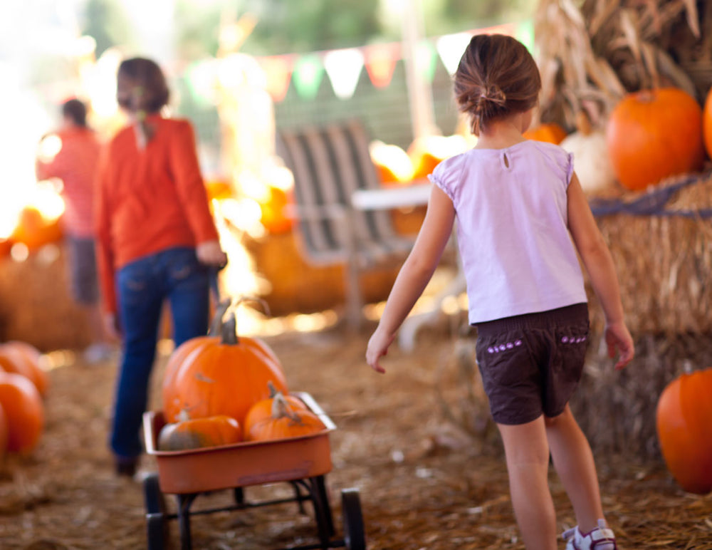 Make it Festive, Make it Fun… Make it Fall!