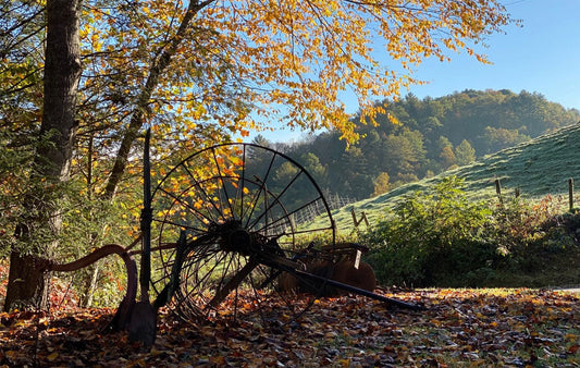 A horsedrawn plow before a mountain scene