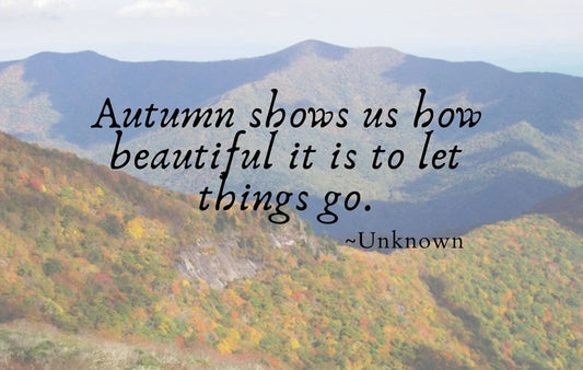 Autumn shows us how beautiful it is to let things go quote over a fall scenic photo.