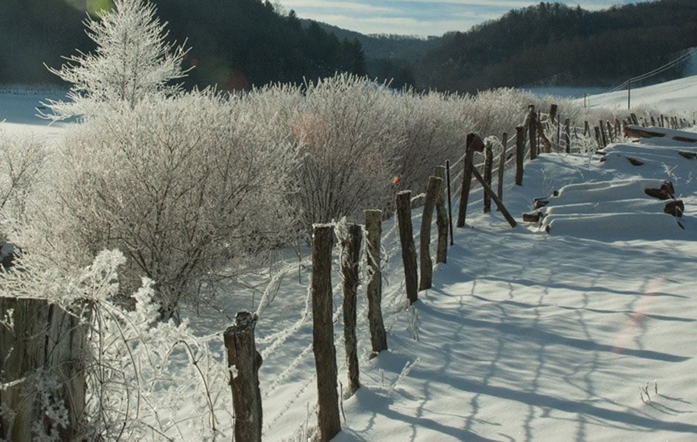 An icy but beautiful winter scene along a snowy fenceline