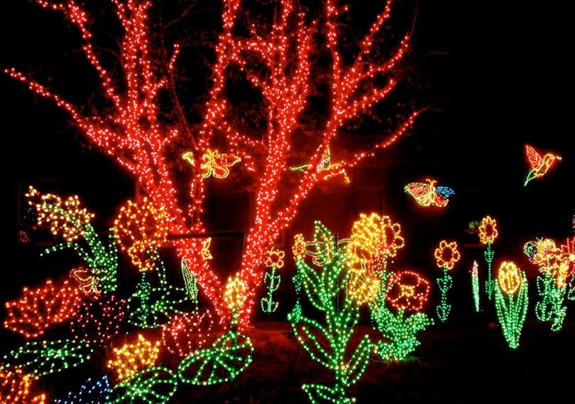 Christmas Lights depicting a flower garden in a yard at night