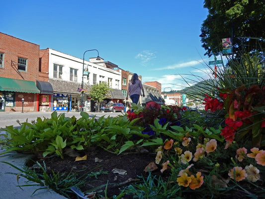 A street shot of downtown Boone with flowers in the foreground.