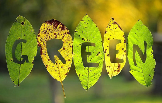 The word green spelled out on grees leaves