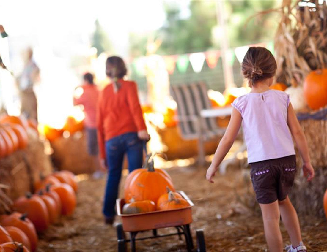 A young girl with a ponytail pulls a faded red wagon filled with pumpkins down an aisle lined with pumpkins and haybales while another young girl dressed in pink and purple follows along.
