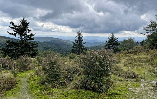 Welcome the New Year with a First Day Hike
