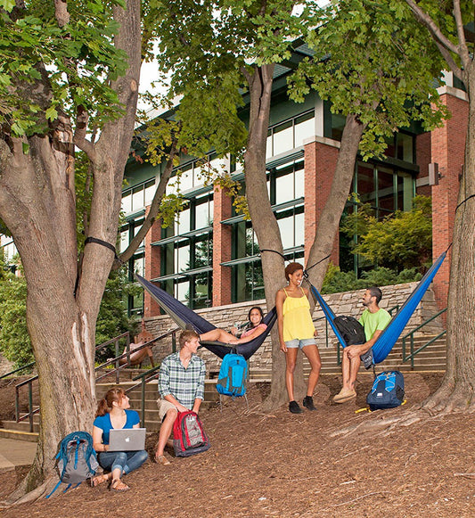 College Freshmen sitting on hammock and on the ground outside a college building