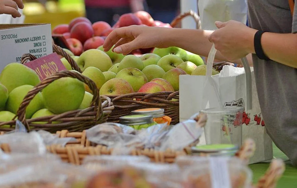 A woman buying apples at North Carolina Apple Festival in Hendersonville