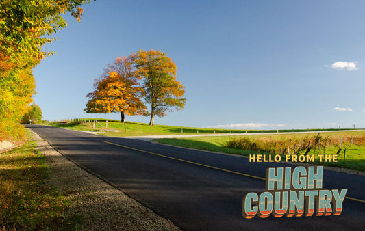 Two trees showing their fall colors along the Blue Ridge Parkway near Blowing Rock
