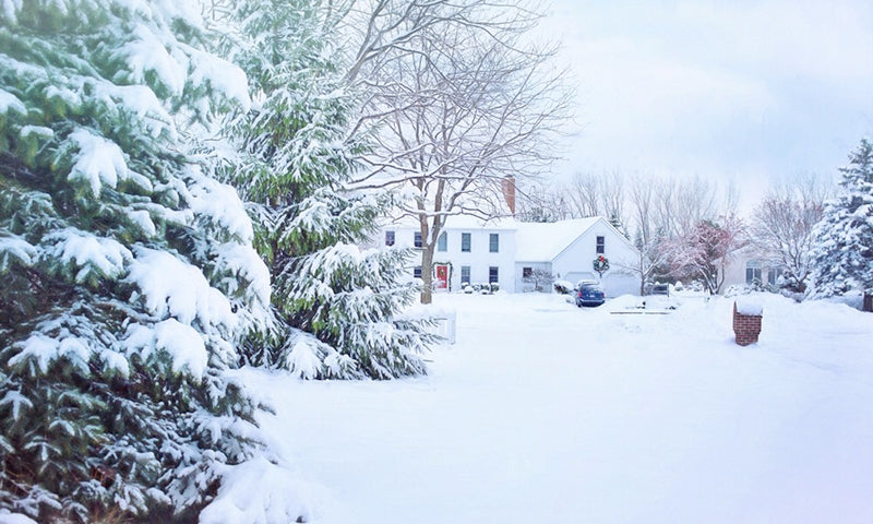 A snow covered landscape with pine trees and a large white house in the distance