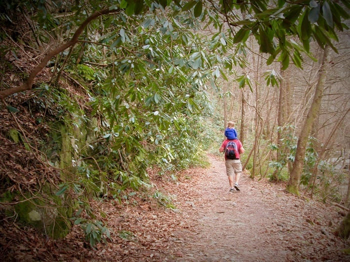 Man walking in woods with a child on his shoulder