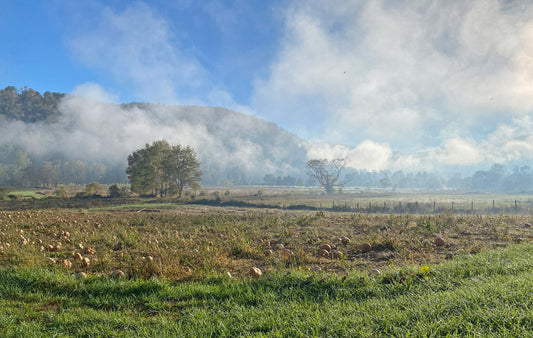 Valle Crucisland in conservation easements.