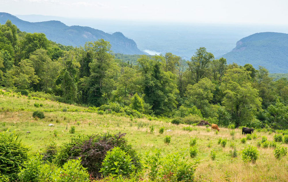 The Blue Ridge Escarpment in South Carolina