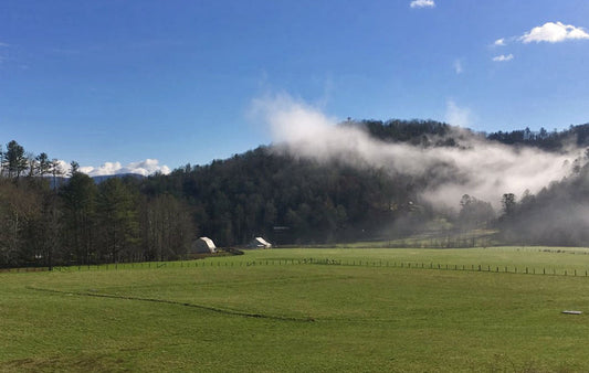 A green field with mountains in the backfround