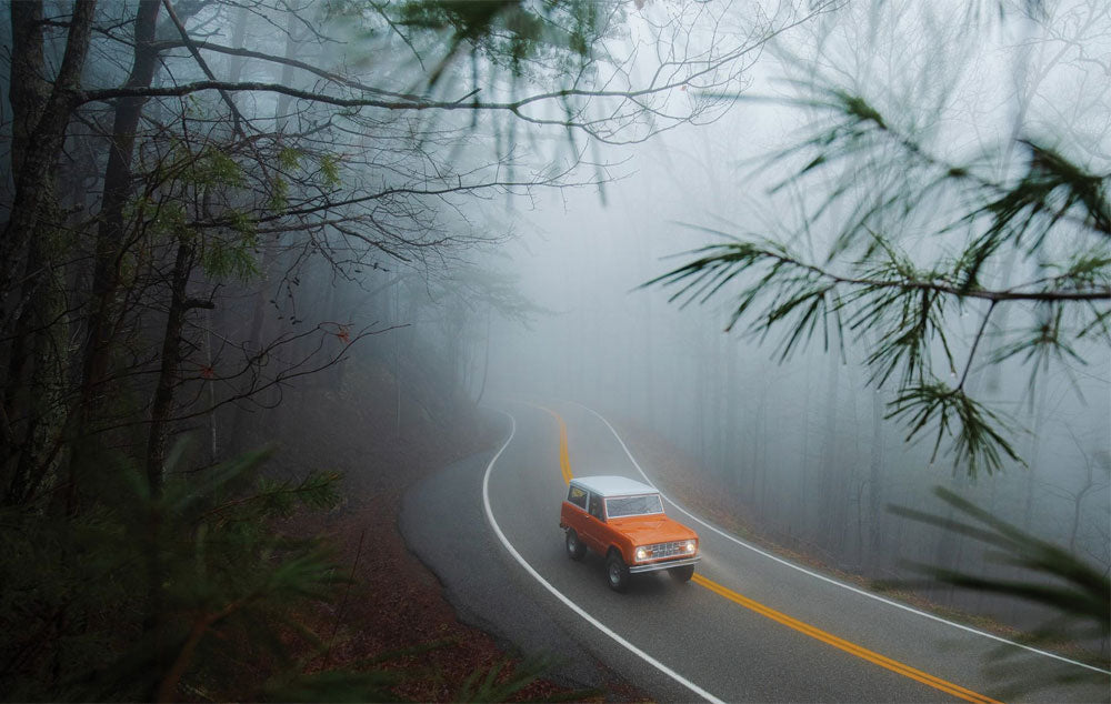 a vintage Bronco driving on a foggy road as viewed through pine branches