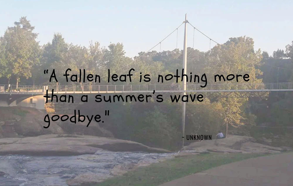 A fallen leaf is nothing more than a summer's wave goodbye quote over a photo of the Liberty Bridge in Greenville, SC.