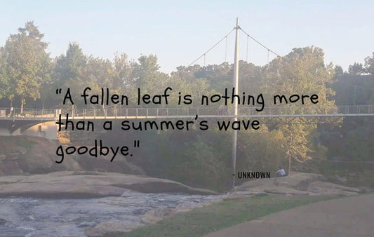 A fallen leaf is nothing more than a summer's wave goodbye quote over a photo of the Liberty Bridge in Greenville, SC.