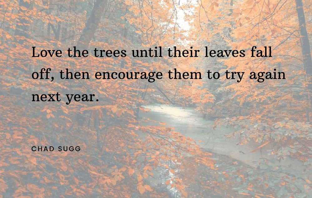 Love the trees until their leaves fall off, the encourage them to try again next year quote by Chad Sugg over a fall scenic photo.