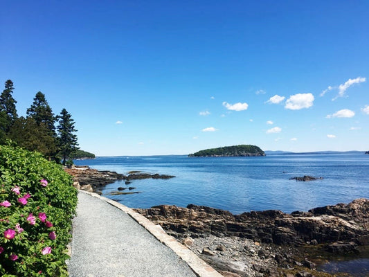 Carriage trail along the bay in Acadia National Park