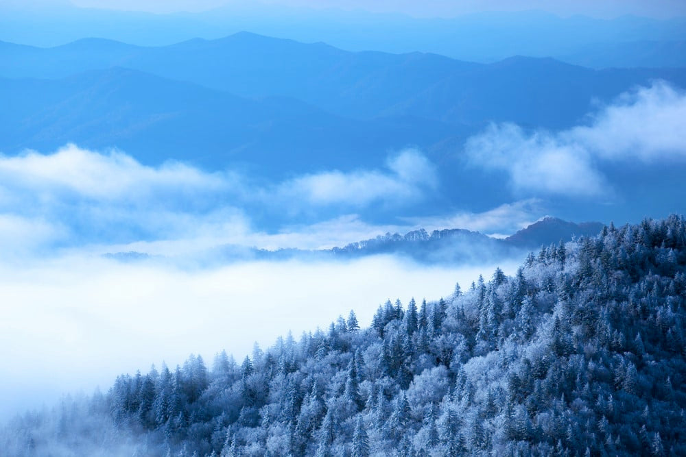 Appalachian Trail Mountains in the fog