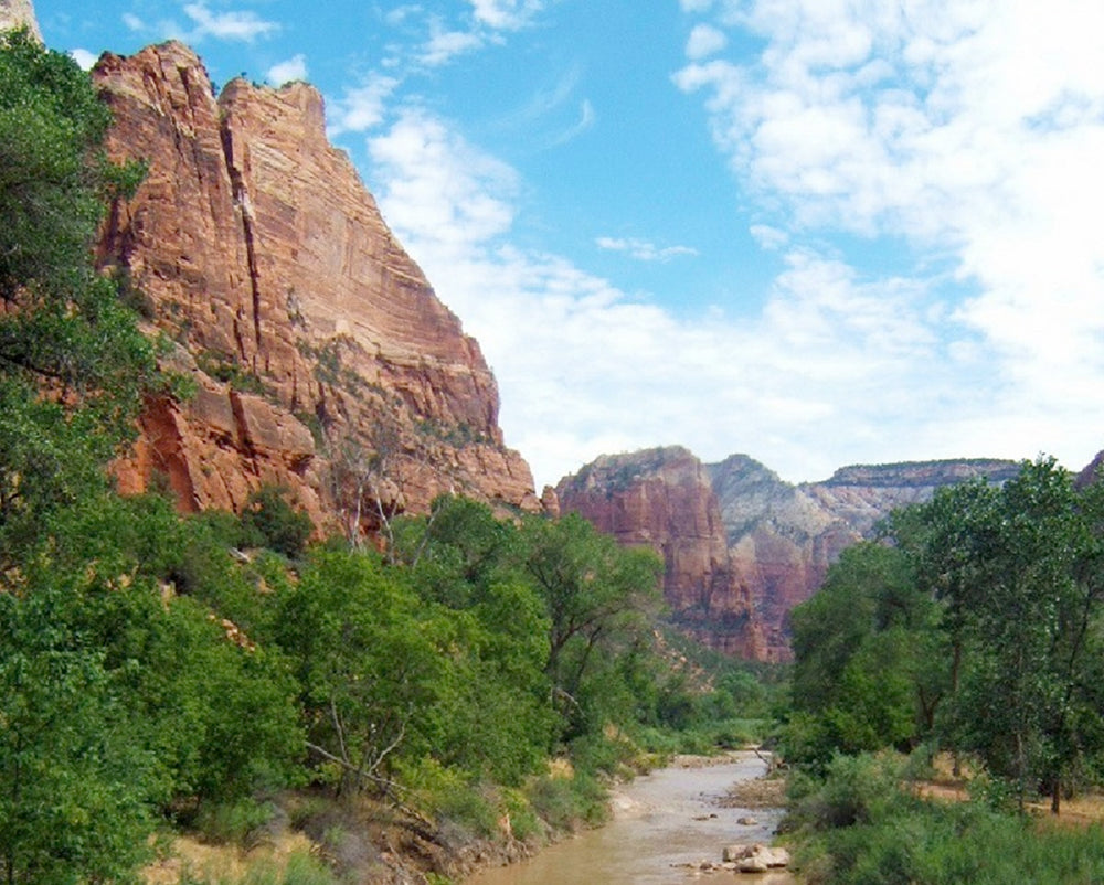 A river runnning through Zion National Park