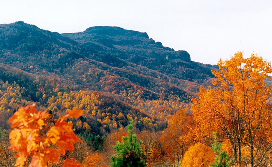 a view of Grandfather Mountain in the fall
