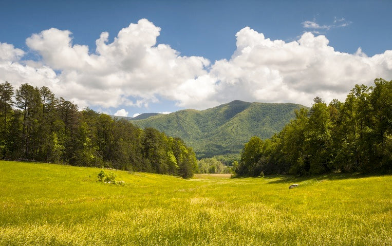 A valley view toward distant mountians in Tennessee Park