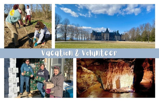 volunteers planting live stakes on a creek bank, the Biltmore Estate from a distance with a blue sky, three female volunteers move boxes from a storage container, and the inside of Linville Caverns.