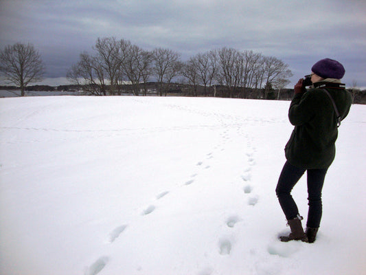 A photographer standing in the snow taking a winter landscape photo