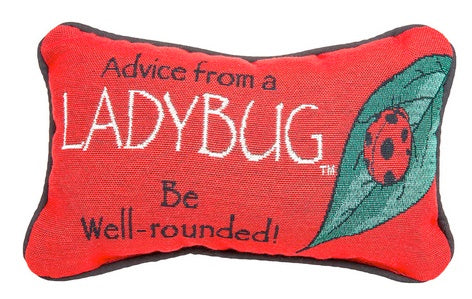 Advice from a Ladybug Pillow