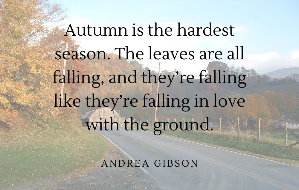 Autumn is the hardest season. The leaves are all falling, and they're falling like they're in love with the ground. Quote over a fall photo.