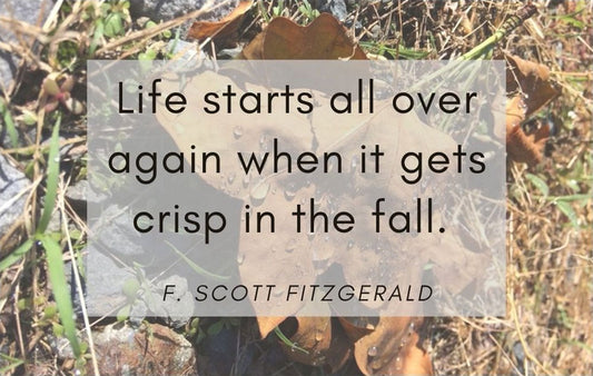 Quote by F. Scott Fitzgerald - Life starts all over again when it gets crisp in the fall.