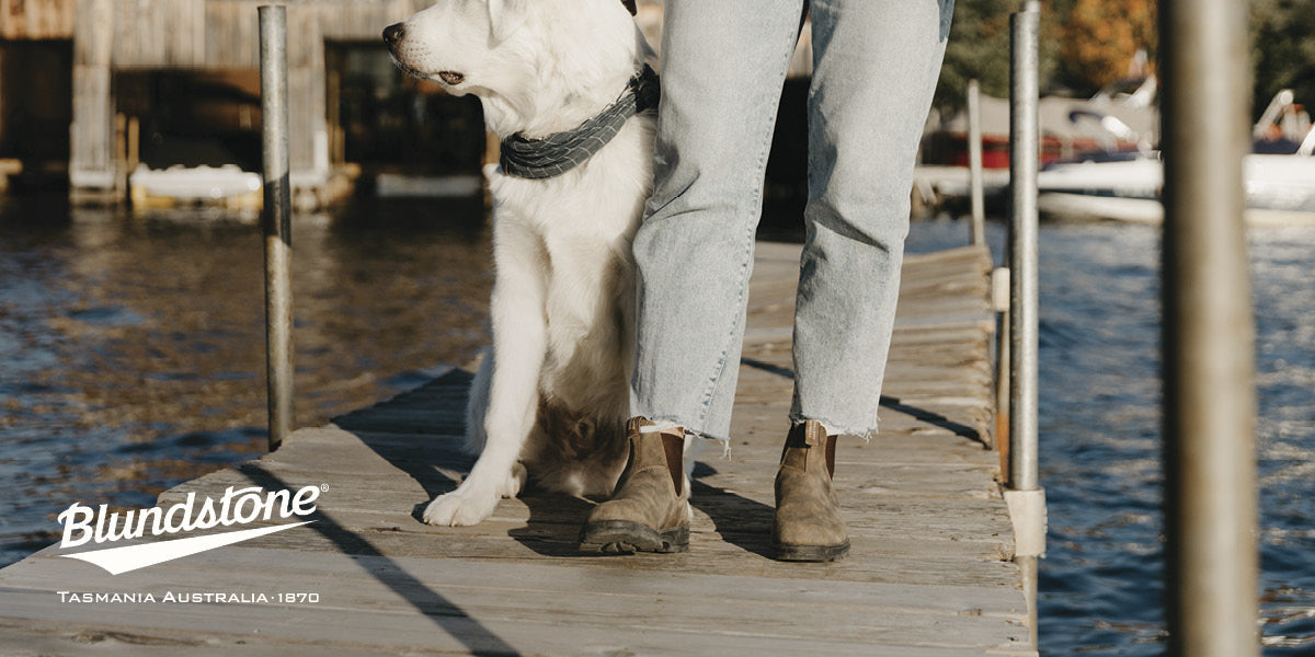 Person wearing Blundstone boots standing on a dock with a dog.