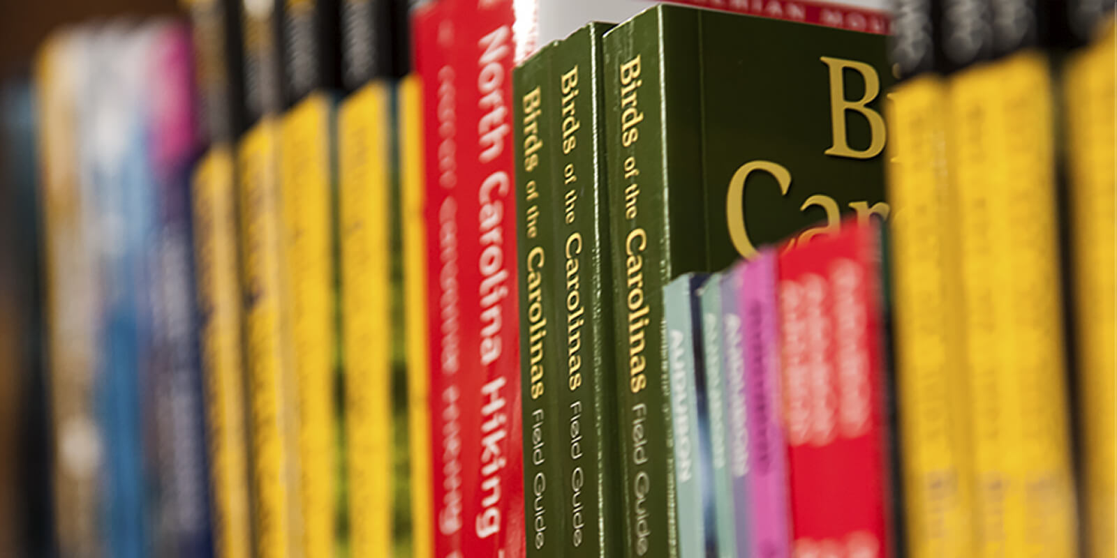 Row of books on a shelf with titles related to nature and travel