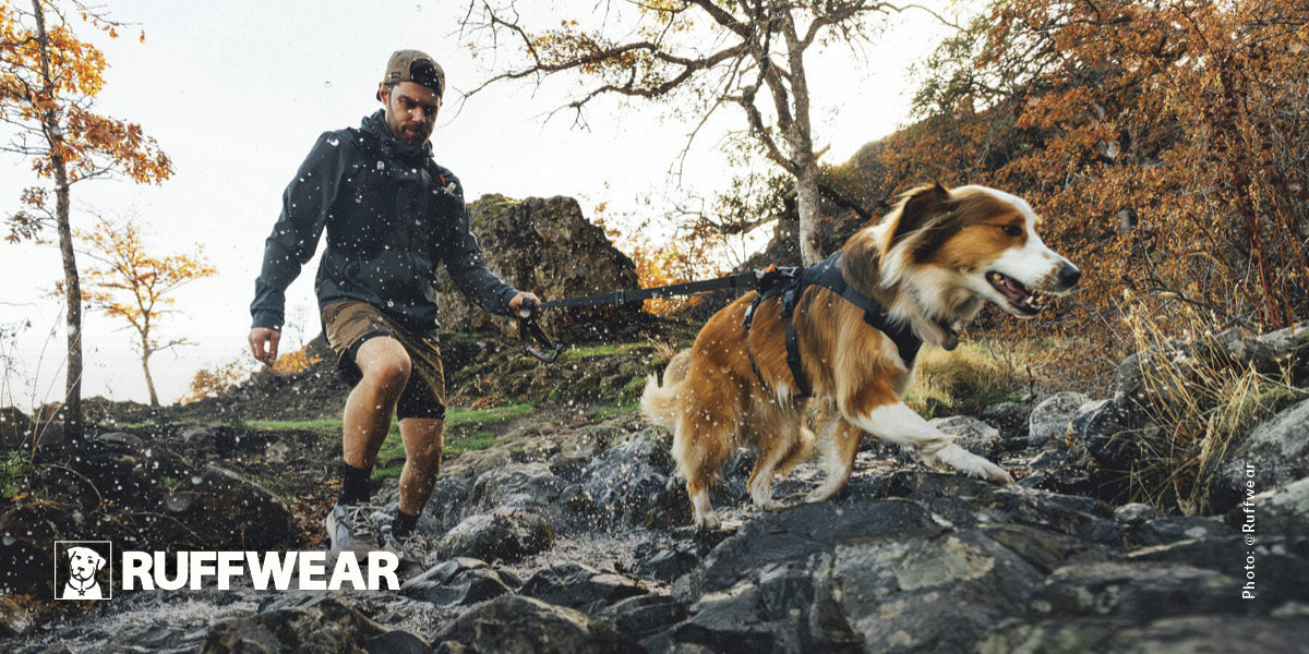  Man hiking a rocky trail with his dog wearing a Ruffwear leash and harness.