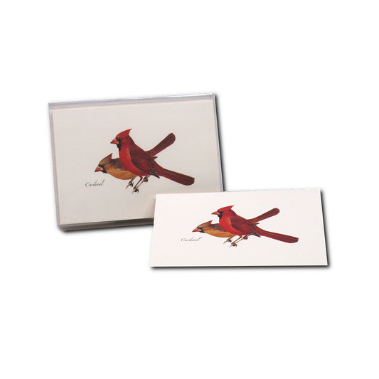 Earth Sky + Water Cardinal Notecards