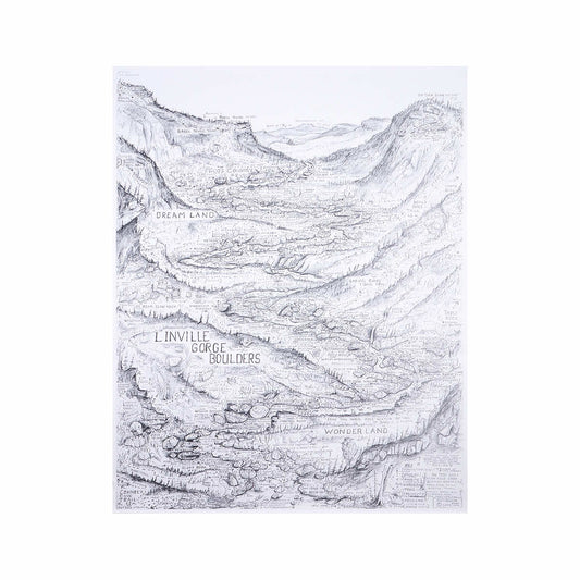 Joey Henson Vertical View Linville Gorge Boulders Art Print
