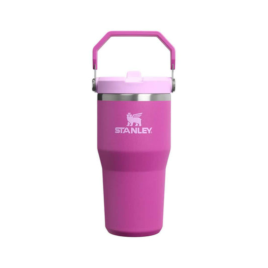 Stanley The IceFlow Flip Straw Tumbler - 20 Ounce
