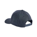 Pendleton Vintage Logo Graphic Hat
