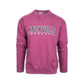 Bay Pointe Knoxville Burnwash Varsity Style Sweatshirt