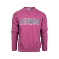 Bay Pointe Asheville Burnwash Varsity Style Sweatshirt